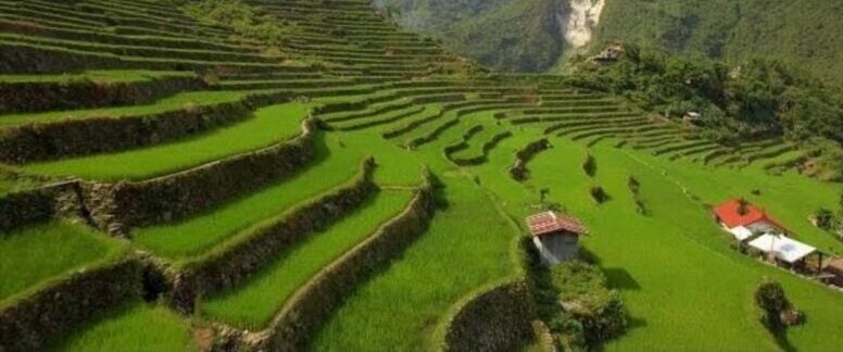 Batad Rice Terraces