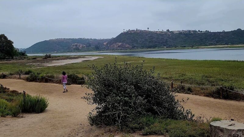 Batiquitos Lagoon Trail