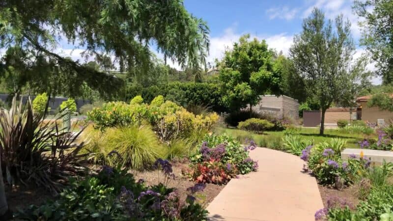 Coldwater Canyon Park