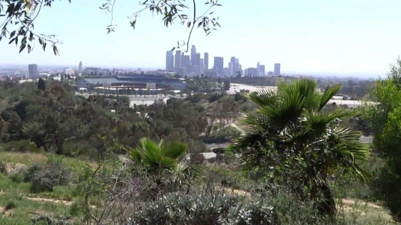 Elysian Park Trail/Spot Angels Park