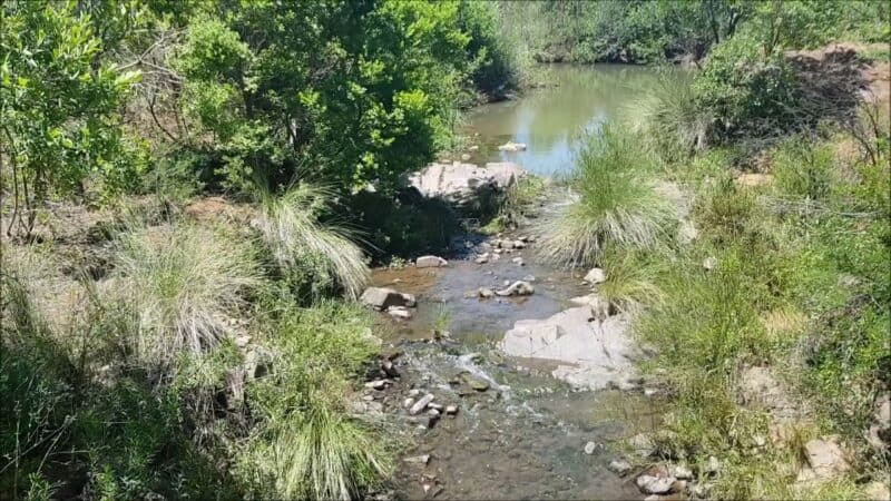 Faerie Glen Nature Reserve
