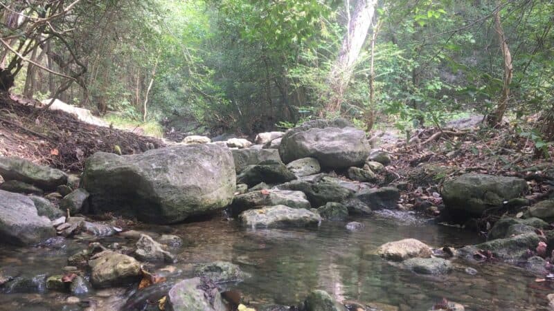 Great Hills Park Trail