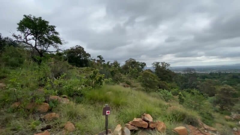 Hedianga Farm’s Green Trail