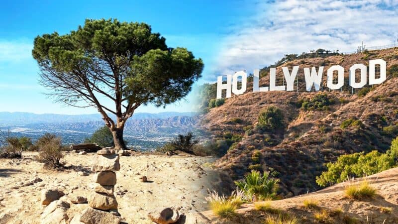 Hollywood Sign Trail