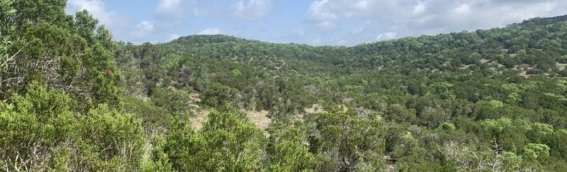 Laurel, Yaupon, Possum, and Arroyo Loop