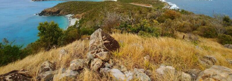 Los Liones Trail