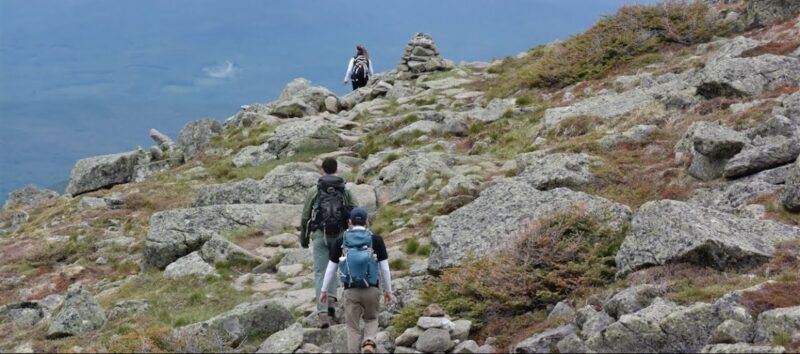 Mount Washington Trail