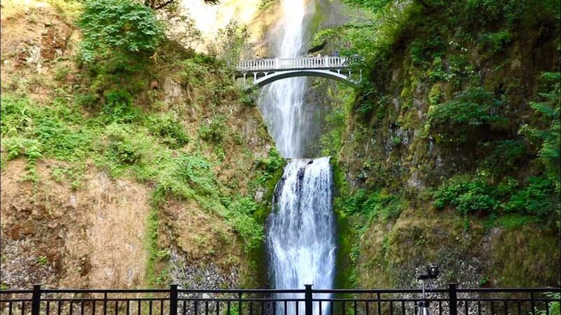 Multnomah Falls Trail