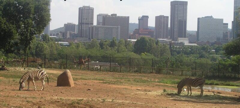 National Zoological Gardens of South Africa Trail