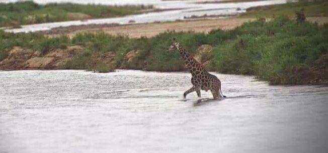 Olifants River Gorge