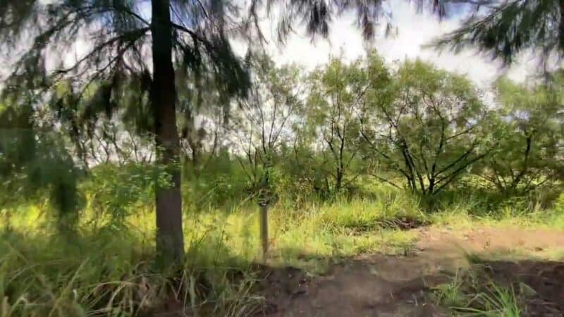 Rosemary Hill Farm Trail