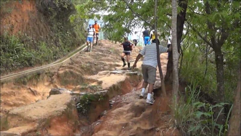 Sabas Nieves II Trail