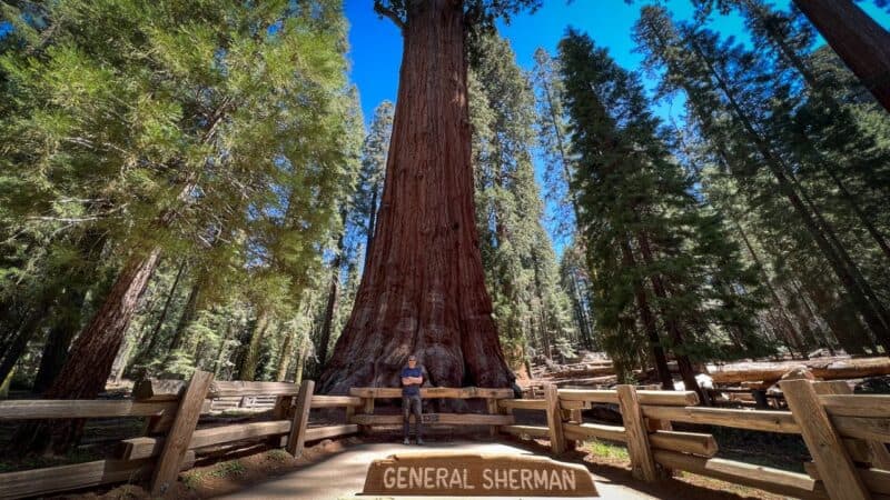 Sherman Tree Trail