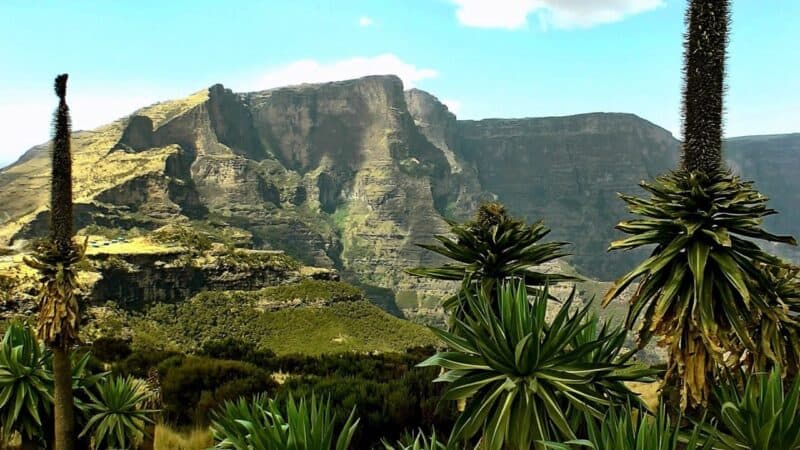 Simien National Park