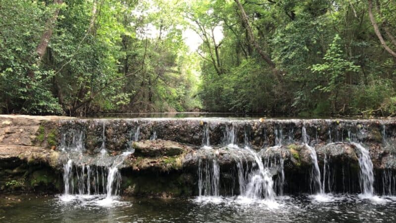 Spicewood Valley Trail