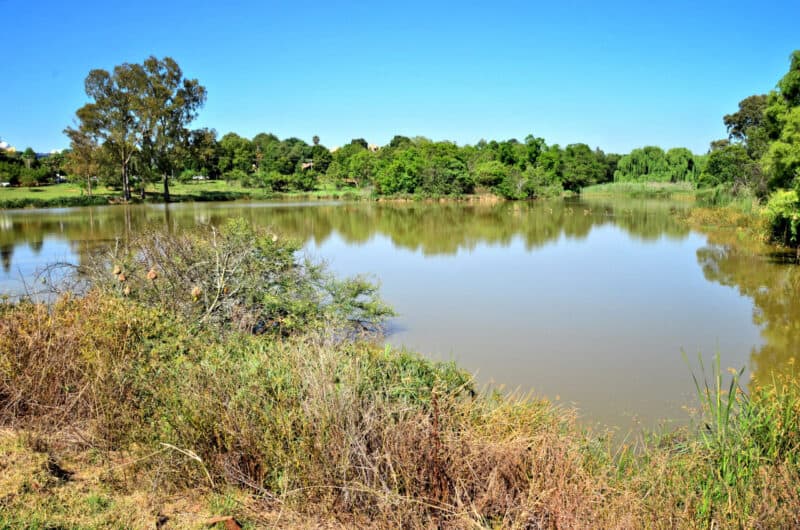Struben Dam Bird Sanctuary Trail