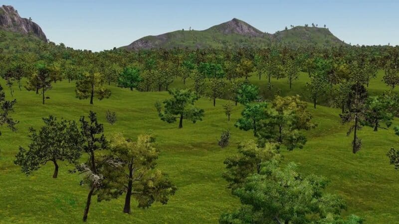 The Flora and Fauna of Apolobamba II
