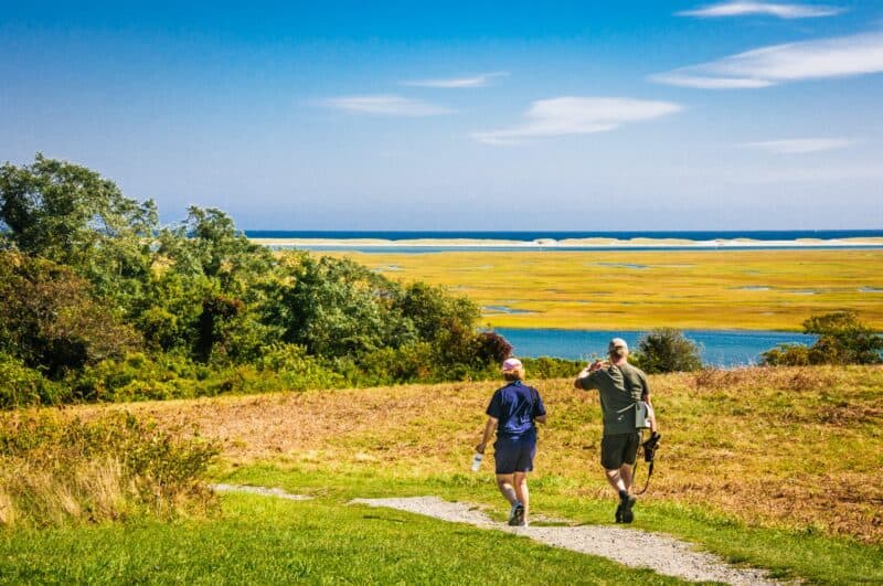 The Yellow Trail