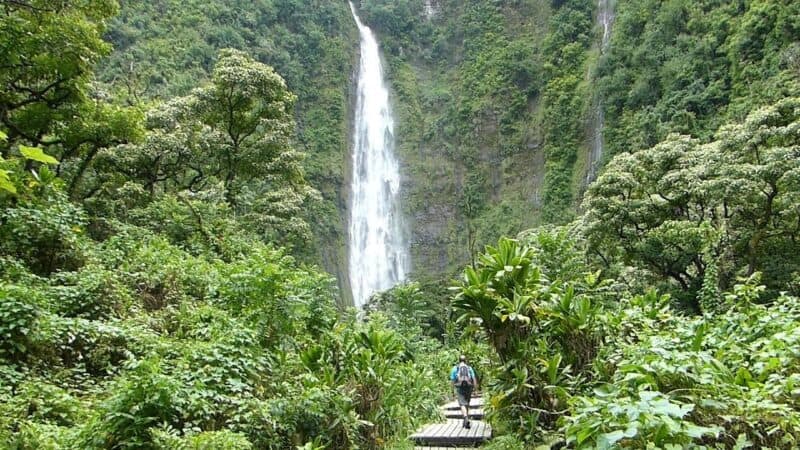 Waimoku  Falls Trail