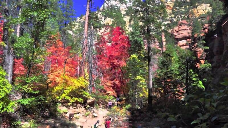 West Fork Trail