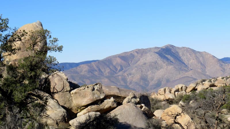 Whale Peak