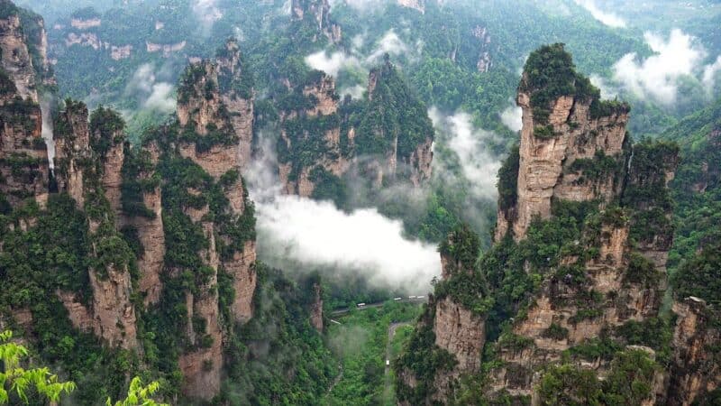 Zhangjiajie National Forests