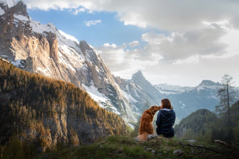 dog on hikes