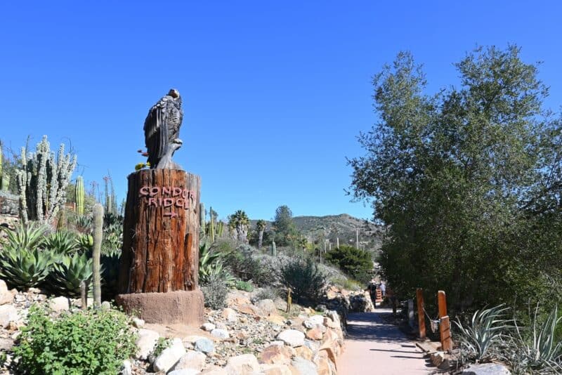 Condor Trail